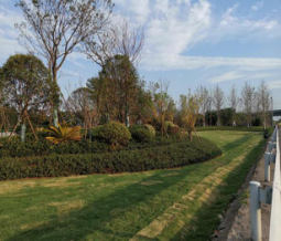 图片5.png 图片5.png