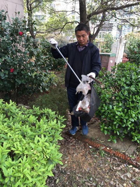 控制鼠害、预防疾病,构建和谐文明社区